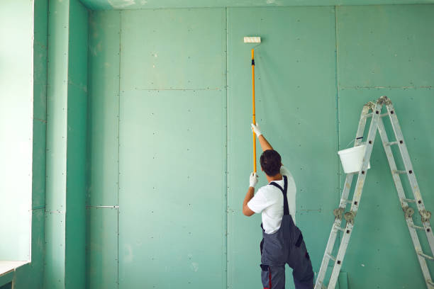 Best Basement Mold Removal  in Parsons, KS