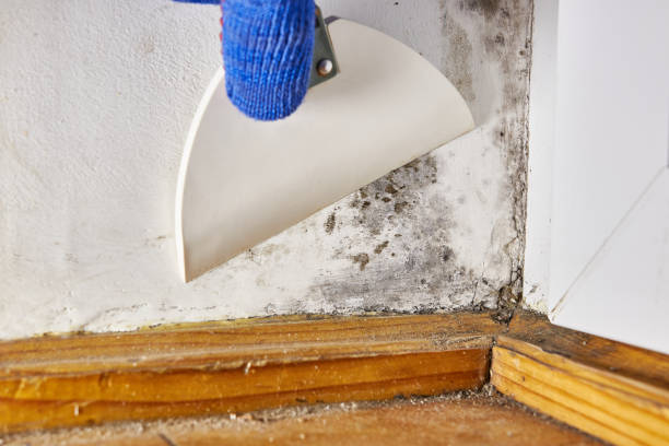 Best Post-Remediation Verification Testing  in Parsons, KS