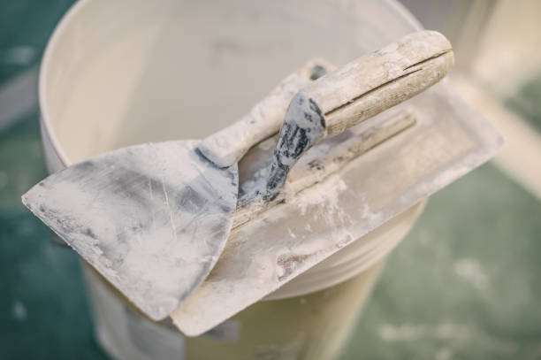 Best Commercial Mold Inspection  in Parsons, KS