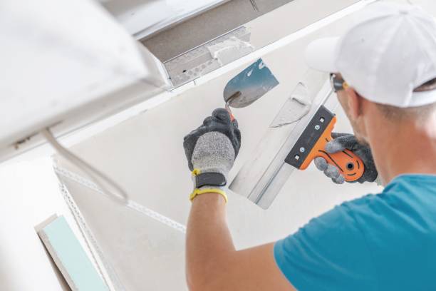 Mold Odor Removal Services in Parsons, KS